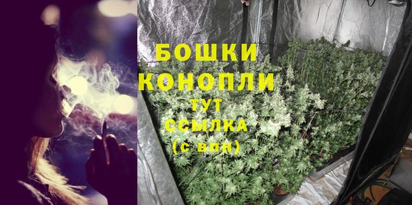 дурь Лагань