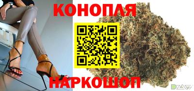 спайс Гатчина