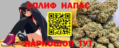 спайс Гатчина