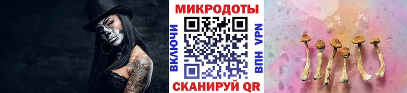 сайты даркнета официальный сайт где купить Елабуга Псилоцибиновые грибы Magic Shrooms