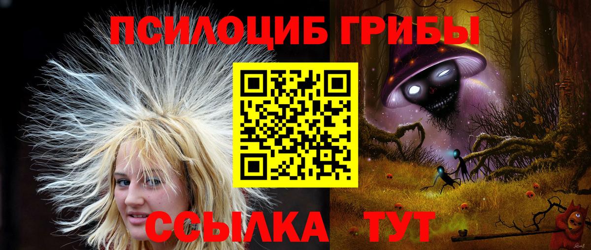 Псилоцибиновые грибы Psilocybe  Елабуга 