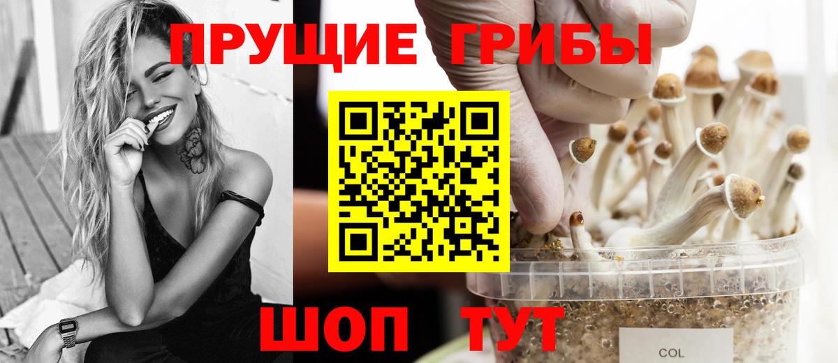 Галлюциногенные грибы мицелий Елабуга