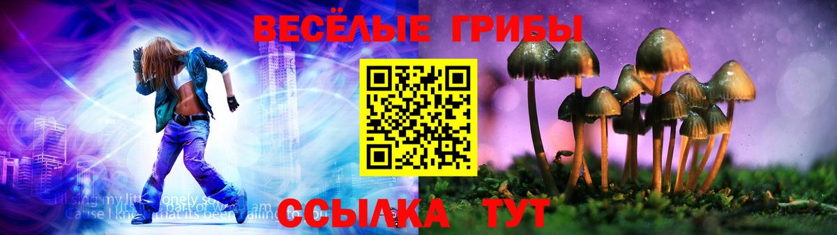 Елабуга  Псилоцибиновые грибы ЛСД  цены наркотик  Вход с VPN  Галлюциногенные грибы мухоморы 
