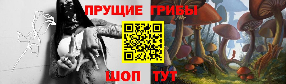 Псилоцибиновые грибы GOLDEN TEACHER Елабуга