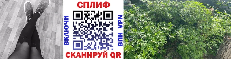 Бошки марихуана SATIVA & INDICA  Елабуга 